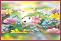 want shiny shaymin | Bulbagarden