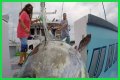 Who has the most expensive boat on Wicked Tuna?
